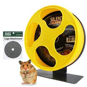 pet hamster best exercise wheel