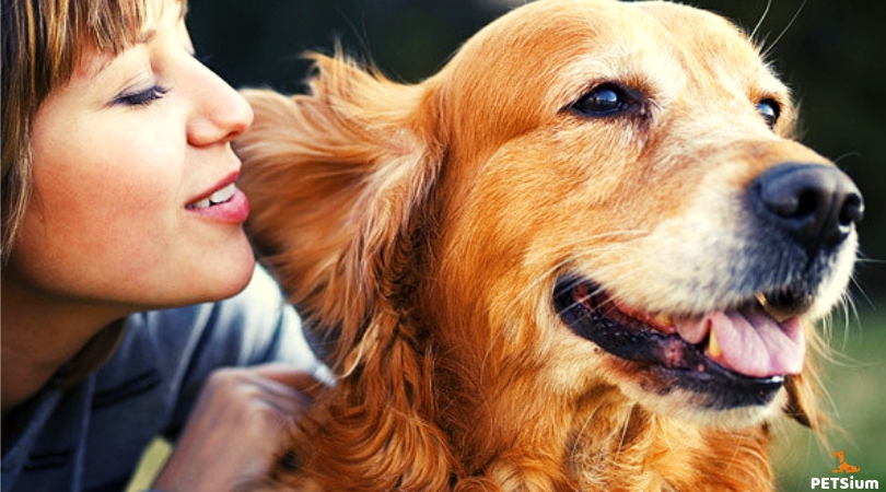 how important to regularly grooming your dog