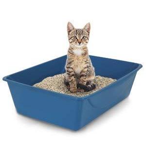 Petmate Open Litter Pan for Kitten