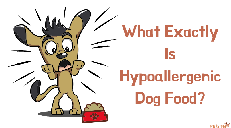 what exactly is hypoallergenic dog food