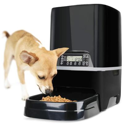 Large Capacity 1.7 Gallon Automatic Dog Feeder by TDYNASTY DESIGN