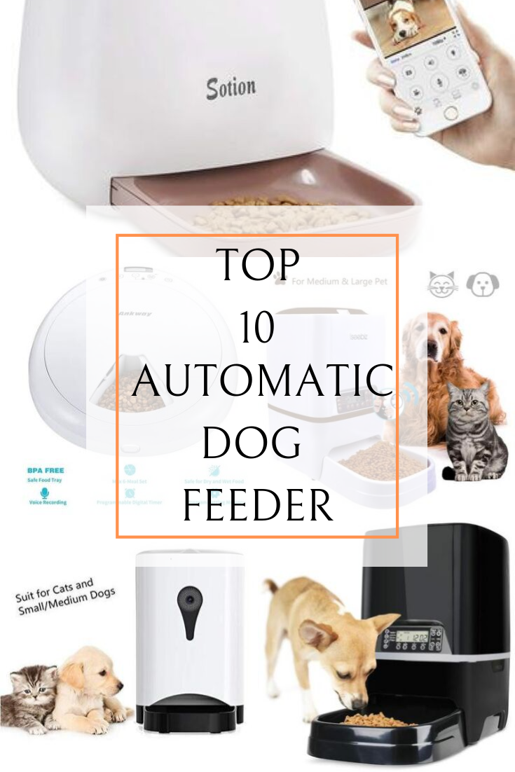 best automatic dog feeder