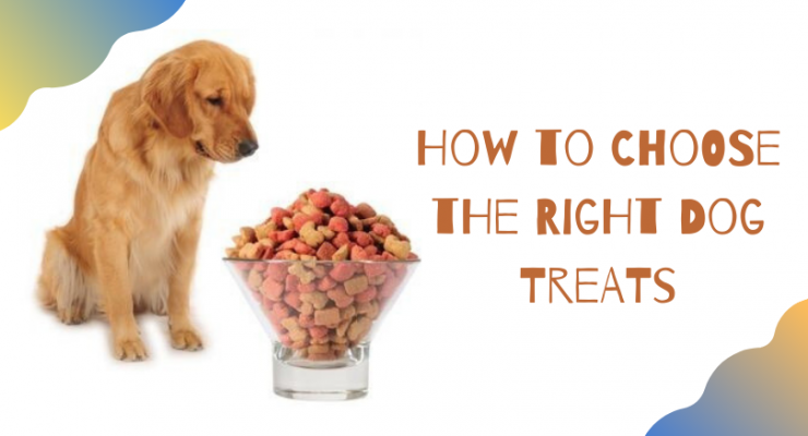 how to choose the right dog treats