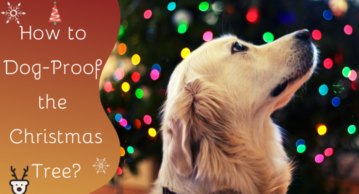 how to dog-proof the Christmas tree