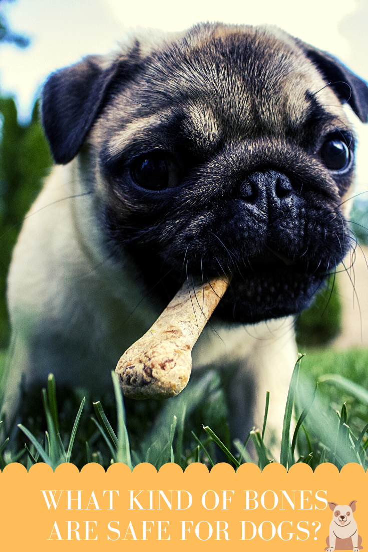 what kind of bones are safe for dogs