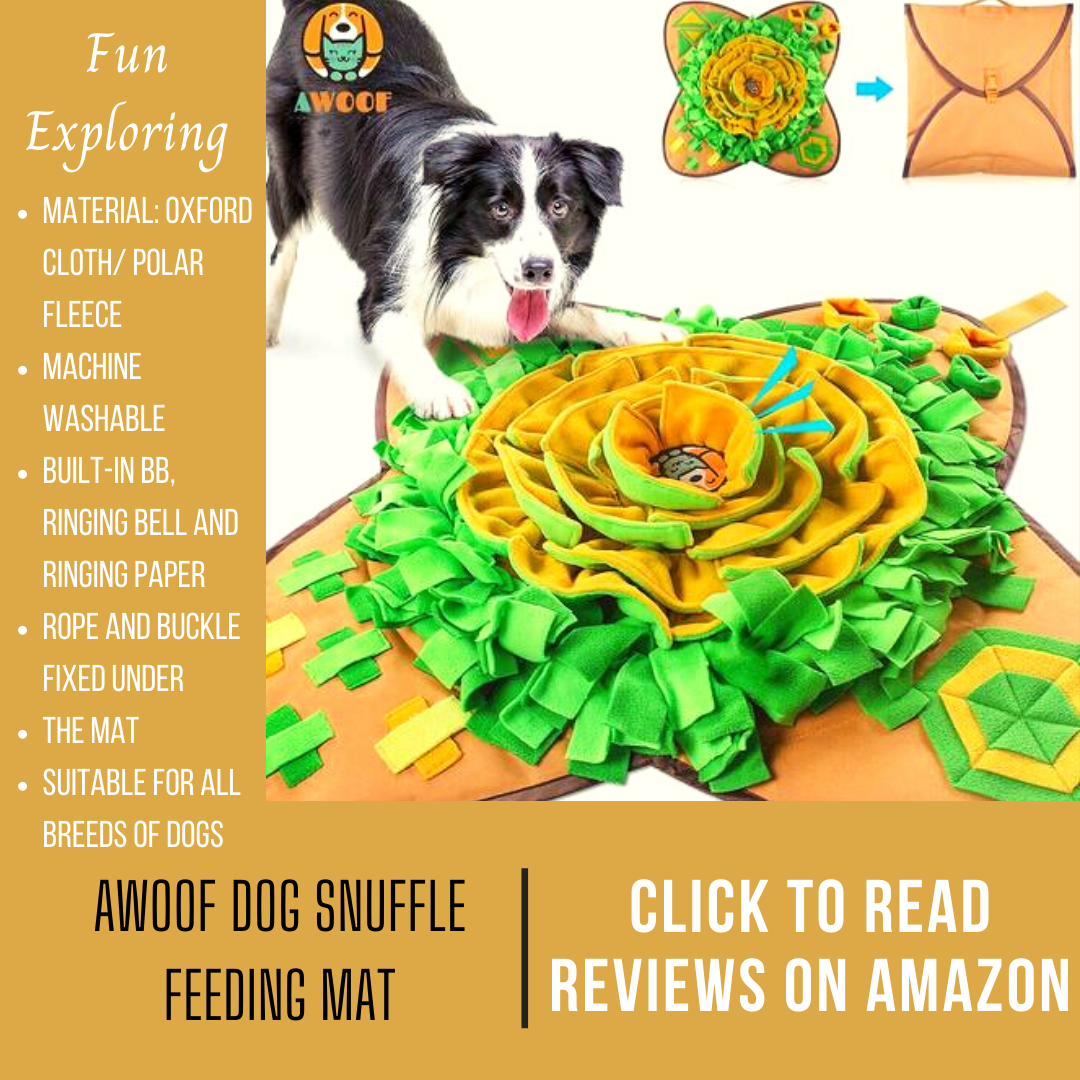 interactive dog snuffle feeding mat