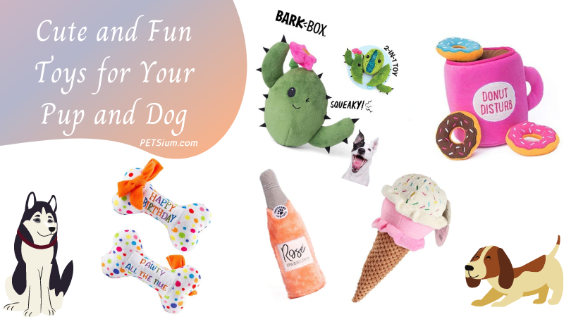 Cute and Fun Toys for Your Pup and Dog