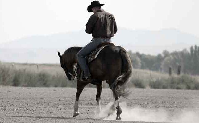 proper horse hoof care