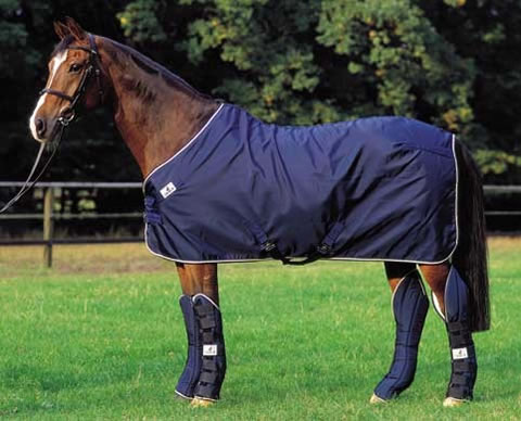 Horse-Blanket-with-Shipping-Boots