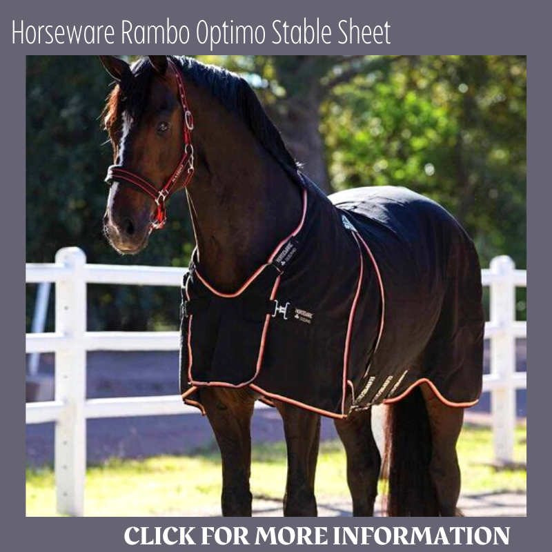 Horseware Rambo Polyester Stable Sheet Horse Blanket