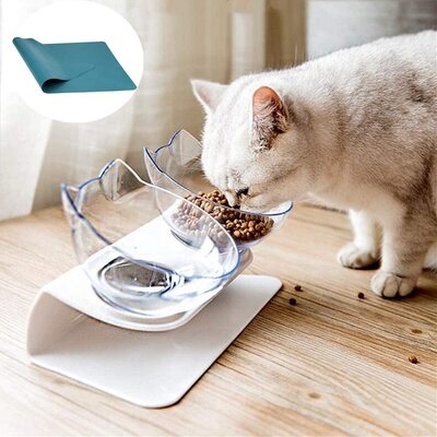 YEIRVE cat food bowl and water bowl