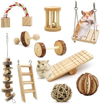 Hamster Wooden Chew Toys