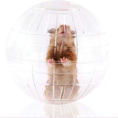 Kaytee Clear Run About Ball for Hamsters