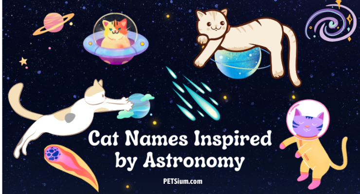 Cat Names Inspired by Astronomy