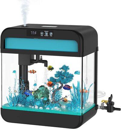 Glass Fish Tank