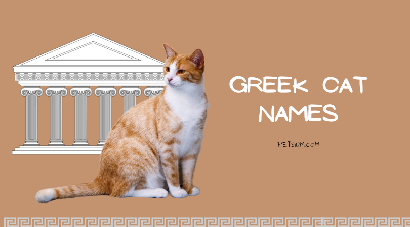 Greek Cat Names