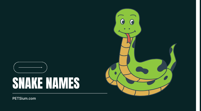 Snake Names