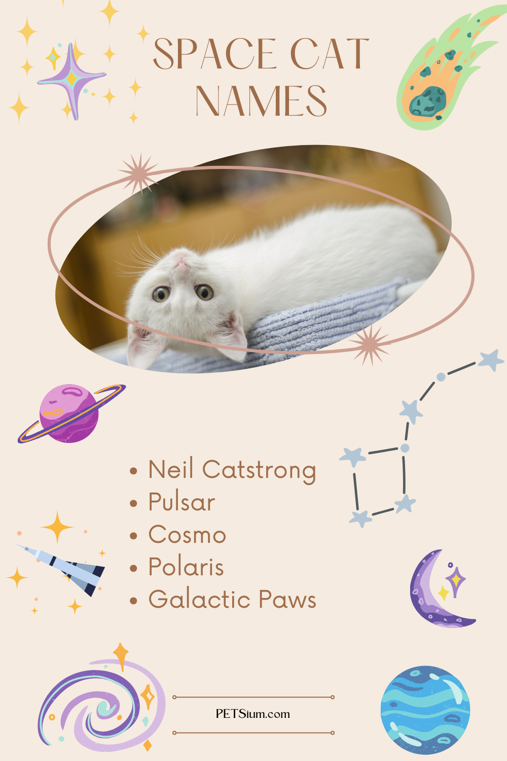 Space Cat Names